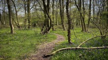 Images for Snowdonia Way, Stevenage